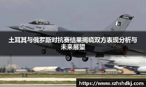 星耀国际