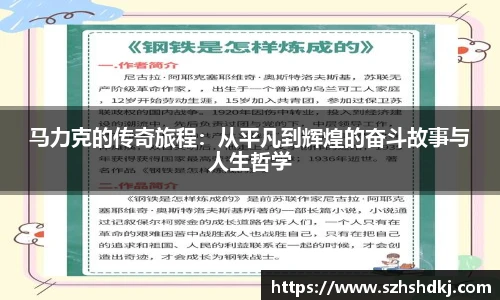 星耀国际官网