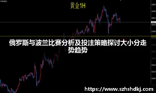 星耀国际