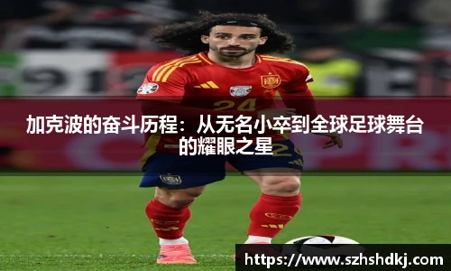 星耀直播平台