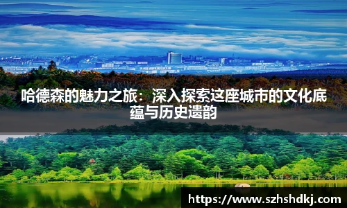 星耀国际