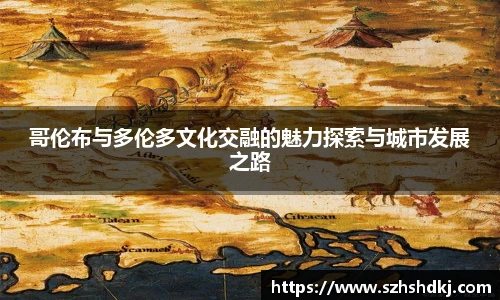 星耀国际